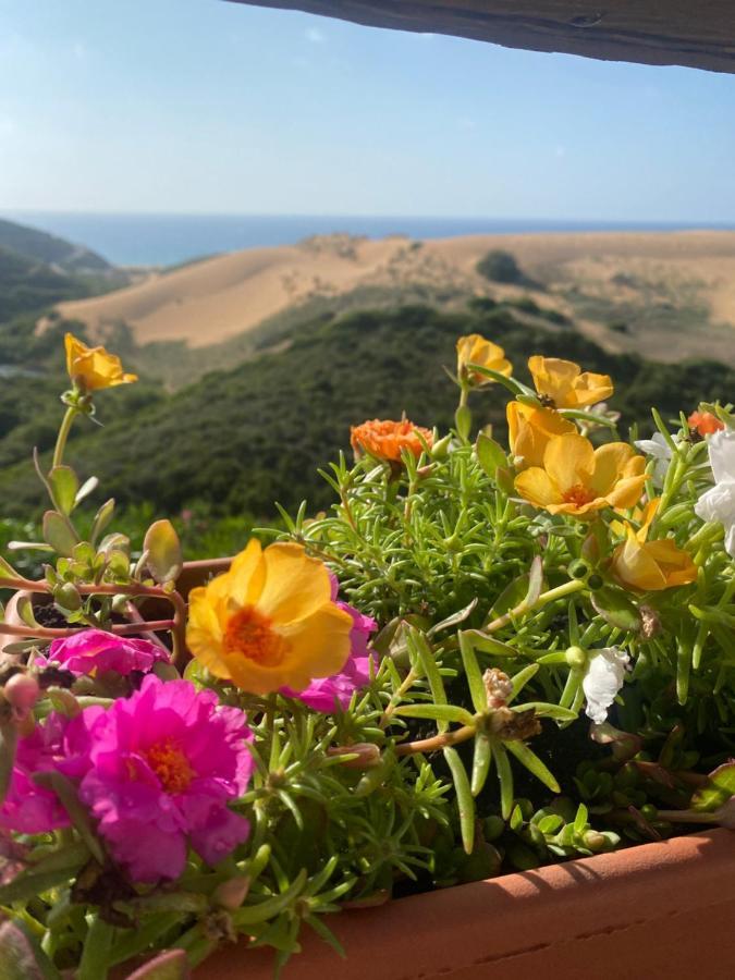 Le dune Torre dei Corsari Extérieur photo